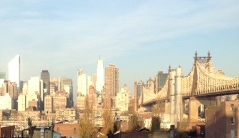 MY NYC Pic